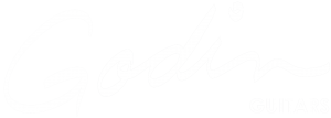 Godin-logo-thck-white_hirez